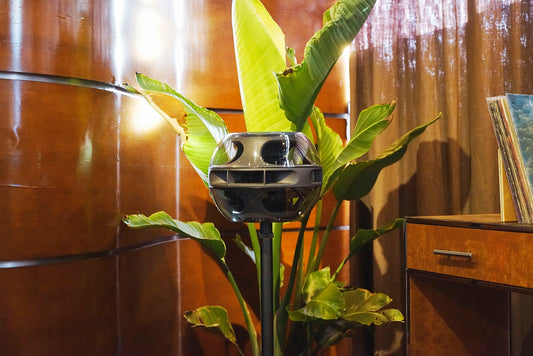 In Sheep's Clothing: A New World of Deep Listening with the Syng Cell Alpha Triphonic Speaker